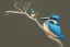 Placeholder: A beautiful kingfisher sitting on a branch. Holding fish in beak. Waterpearls on feathers. Highly detailed, smooth colours, realistic landscape