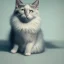 Placeholder: Cat, hyperrealism, masterpiece, expert, 8K, sharp focus, cinematic lighting, black