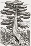 Placeholder: coloring page, pine tree, cartoon style, thick lines, low detail, no shading