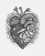 Placeholder: realistic Tattooed heart idea, line art, background, vector, svg, black outline on white background, leave plenty of white space beetween lines for coloring, tattoo style, tattoo idea,full body, minimalist