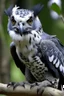 Placeholder: harpy eagle