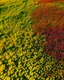 Placeholder: A breathtaking aerial shot of a field full of wildflowers in various vibrant colors. The image evokes a sense of serenity and natural beauty.