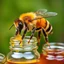 Placeholder: a bee with 6 legs eats honey in jars