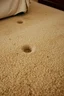 Placeholder: closeup of cheap motel room's dirty carpet, 2 faint furniture dents in carpet, showing where furniture once was