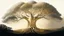 Placeholder: Valinor, tolkien, one giant golden tree, one giant silver tree