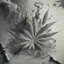 Placeholder: Sketch a composition where swirling smoke patterns fill the canvas, with asymmetrical clusters of crushed weed leaves dispersed throughout, creating a balanced yet dynamic arrangement.