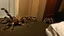 Placeholder: action shot of tarantula escaping hotel room while two people scream and run frantically