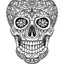 Placeholder: Coloring page for beginers, with skull, very Bold outlines and white background, cartoon style, minimal number of elements, very simple, not very detailed