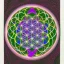 Placeholder: alex grey flower of life