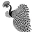 Placeholder: white, A peacock full decoration, line art, white background, outline, with images neatly contained within the background, just black and white color, full body, no color. Different view