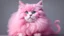 Placeholder: cotton Candy colored cat