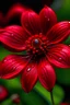 Placeholder: red alien flower