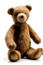 Placeholder: light brown teddy bear. standing up. looking up to the right. white background.