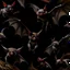 Placeholder: realist animals bats