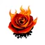Placeholder: a fire pit with dark embers and the flames spiral outward like petals to make the shape of a rose flower(red) , black and red Vector on white background