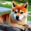 Placeholder: shiba inu heavenly aspect