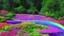 Placeholder: verybeautiful-magical-garden-of-the-angelic-kingdom-blue-and-pink-plants-and-trees-small-river-sunshine-flowers-haze-thumb-rainbow-ufo-bright-colors-light flowers