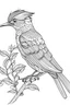 Placeholder: outline art for Birds coloring pages with sitch, white background, Sketch style, full body, only use outline, dementia patients style, clean line art, white background, no shadows and clear and well outlined.