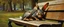 Placeholder: master oil painting by Rembrandt, kobold gremlin rabbit sleeping on a bench in the park