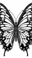 Placeholder: Black and white Butterfly clip art