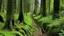 Placeholder: A dirt path winding through a dense forest with tall, thin trees on either side The path is lined with tall grass and moss-covered rocks. A small dog can be seen walking along the path.