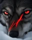 Placeholder: A captivating close-up image of a black wolf's eye, glowing bright red and filled with intense, wild intensity. The eye is framed by the wolf's black fur, and a sense of wild, untamed nature radiates from it. The overall atmosphere is mysterious and evokes a feeling of wild nature.