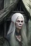 Placeholder: ugly medieval witch, pale skin, grey hair, low plunge neck, forest hut background, realistic