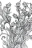 Placeholder: Outline art for coloring page, AVANT GARDE DRAWING LAVENDAR FLOWERS, coloring page, white background, Sketch style, only use outline, clean line art, white background, no shadows, no shading, no color, clear