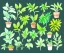 Placeholder: Vector plants and herb set illustration. Watercolor illustration color