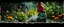 Placeholder: dark gnome in bright garden , pinhole cam, airbrush 3d rendering, in the style of John Atkinson Grimshaw , torn edges on border