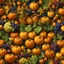 Placeholder: Paradise of pumpkins, apples, grapes, corn, and more,colorful8k resolution concept art,By Leonardo da vinci,Michelangelo,Raffaello deep color, daytime Lighting, digital illustration, 4K, Hyperdetailed, Intricate Details, 3D shading, Art of Illusion