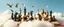 Placeholder: chess board full of animals instead of pieces, clouds under board