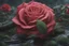 Placeholder: One rose and snakes around itin 8k anime artstyle , close picture, rain, intricate details, highly detailed, high details, detailed portrait, masterpiece,ultra detailed, ultra quality