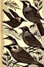 Placeholder: birds woodcuts