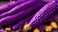 Placeholder: purple corn with beautiful and magic details ,halloween theme