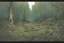 Placeholder: clearing, forest,overgrown, post-apocalyptic, comic book,