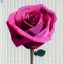 Placeholder: transparent multicolor crystal rose