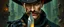 Placeholder: oil paint and airbrush, upper body portrait of clever crow vintage mustache assassin thief quickling juggler man with Damascus steel sacrificial dagger in then elven magical green city of Forgotten Realms, myth drannor