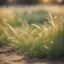 Placeholder: Egyptian mummyin long grass ,bokeh like f/0.8, tilt-shift lens 8k,*-