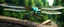 Placeholder: High-end hyperrealism epic blue dragonfly hero, Steampunk-inspired cinematic photography, symmetry forest alley background, Aesthetic combination of metallic sage green and titanium blue, Vintage style with brown pure leather accents, Art Nouveau visuals with Octane Render 3D tech, Ultra-High-Definition (UHD) cinematic character rendering, Detailed close-ups capturing intricate beauty, Aim for hyper-detailed 8K