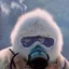 Placeholder: Yeti in a mask, background = (wildfires, mountains, fires, smoke, disaster)