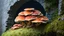 Placeholder: Mushrooms with octopus tentacles covering a crumbling stone wall and an arch behind, Roger Dean-style