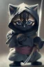 Placeholder: a ninja kitten