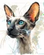 Placeholder: Create a vividly realistic visual composition to conceptually complement A whimsical, wacky Oriental shorthair chocolate point Siamese with blue eyes and a delightfully scattered and unkempt coat, sporting long strands of hair that stick out in every direction, as if electrified by static, its whiskers twitching with mischief, while its ears perk up with an air of sly secrecy, the cat's body appears to be whispering away from itself, as if its very essence is being slowly sucked out, leaving beh