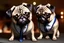 Placeholder: pug in a suit at a bar