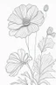 Placeholder: outline art for cute flower coloring pages with which, White background. sketch style, clean line art, white background, no shadow and clear