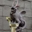 Placeholder: Cat gargoyle with goat horns and wings on its back Jim kay style