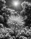 Placeholder: Atomic explosion made of flowers, ULTRA REALISTIC, B&W Photograph, cinematic, cinematic shot, dynamic composition, details, intricate detail, professional lighting, film lighting, 35mm, anamorphic, lightroom, cinematography, bokeh, lens flare, film grain, hdr10, 8k, Roger Deakins, incredibly detailed, reflect, sharpen