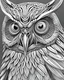 Placeholder: owl, black and white coloring page, white background, digital Art, perfect composition, beautiful detailed intricate insanely detailed octane render trending on artstation, photorealistic concept art, soft natural volumetric cinematic perfect light, chiaroscuro, masterpiece, oil on canvas, raphael, caravaggio, greg rutkowski, beeple, beksinski, giger, black and white still, digital