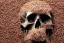 Placeholder: Human skull made from pennies